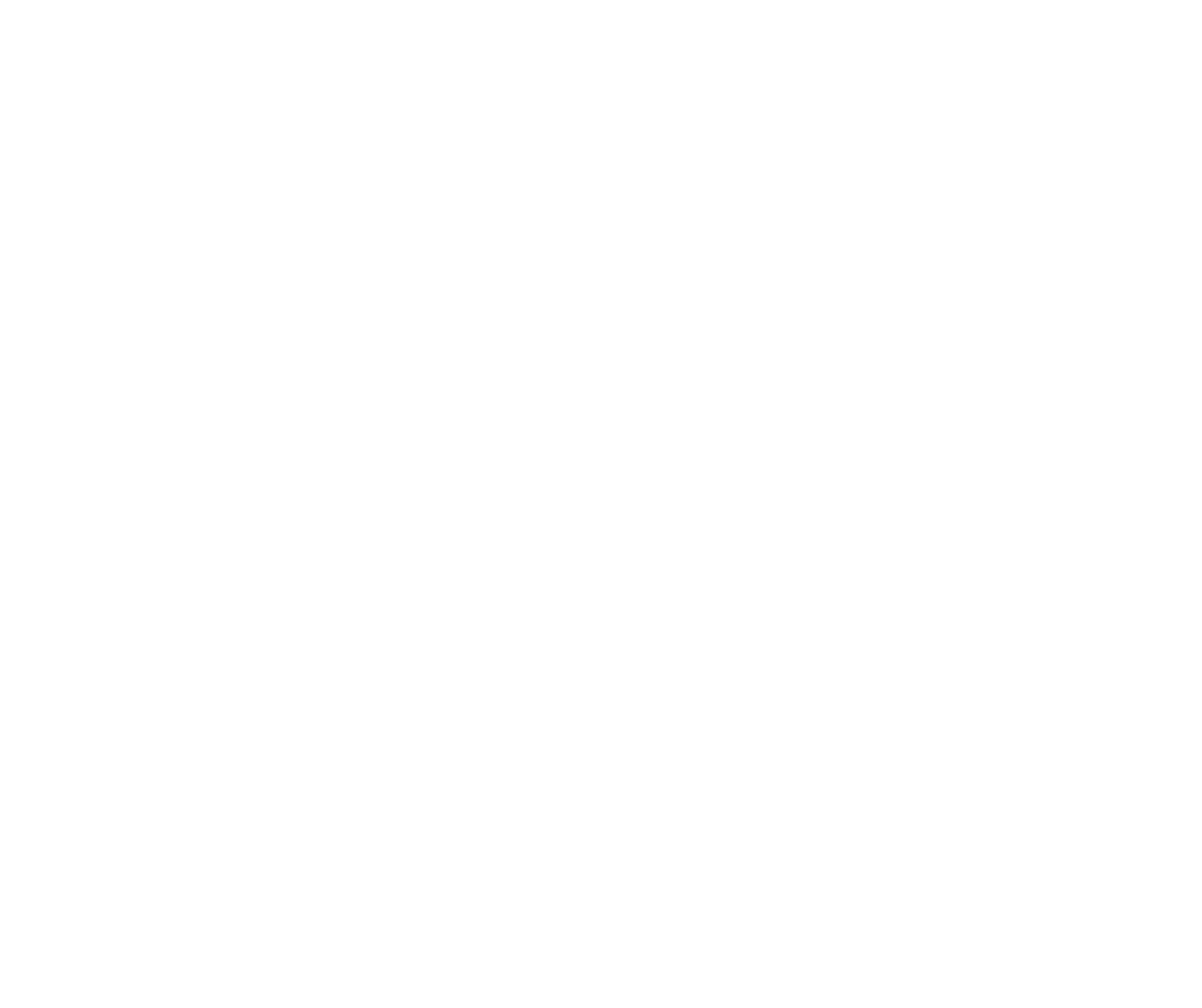 Ergo Wallet